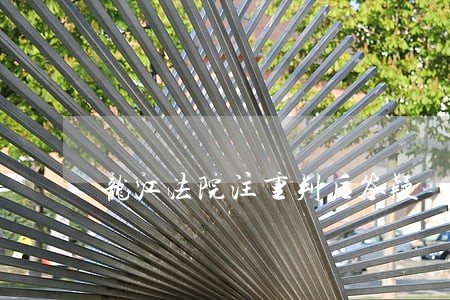 龙江法院注重判后答疑 龙江法院注重判后答疑