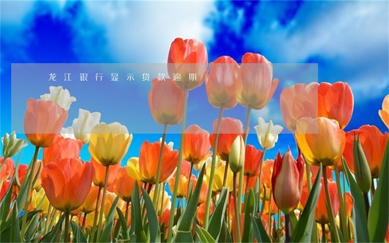 龙江银行显示贷款逾期 龙江银行显示贷款逾期