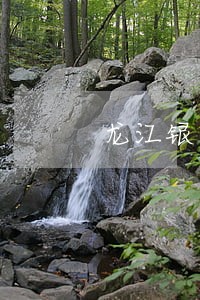 龙江银行网贷逾期 龙江银行网贷逾期