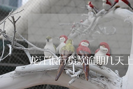 龙江银行贷款逾期几天上征信 龙江银行贷款逾期几天上征信