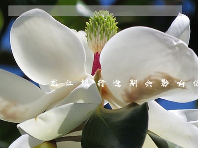 龙江银行逾期会影响信用卡使用吗