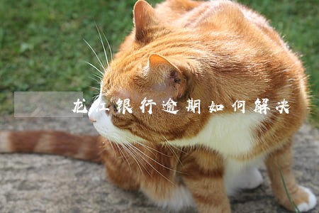 龙江银行逾期如何解决 龙江银行逾期如何解决
