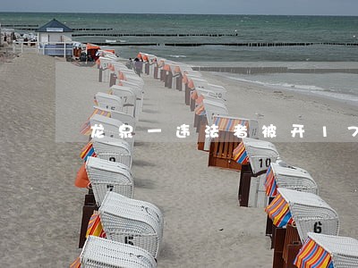 龙泉一违法者被开1700元罚单 龙泉一违法者被开1700元罚单