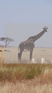 龙泉专利案件律师价格行情 龙泉专利案件律师价格行情