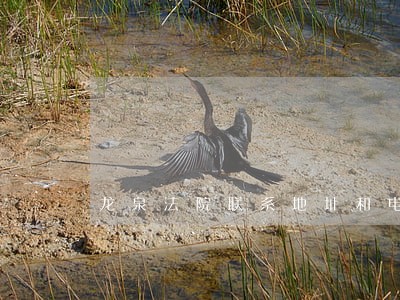 龙泉法院联系地址和电话 龙泉法院联系地址和电话