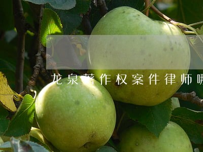 龙泉著作权案件律师哪个律师专业