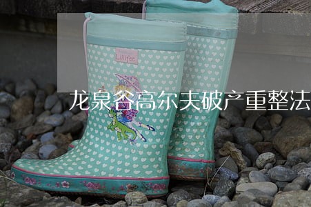 龙泉谷高尔夫破产重整法院判决 龙泉谷高尔夫破产重整法院判决