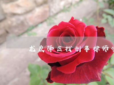 龙泉驿区找刑事律师咨询 龙泉驿区找刑事律师咨询