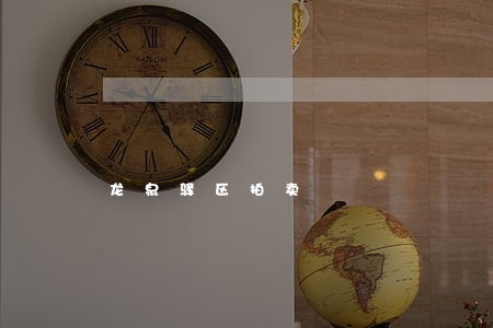 龙泉驿区拍卖 龙泉驿区拍卖