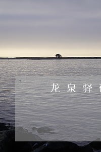 龙泉驿在行动