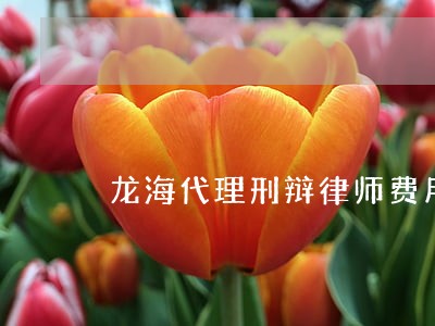 龙海代理刑辩律师费用多少 龙海代理刑辩律师费用多少