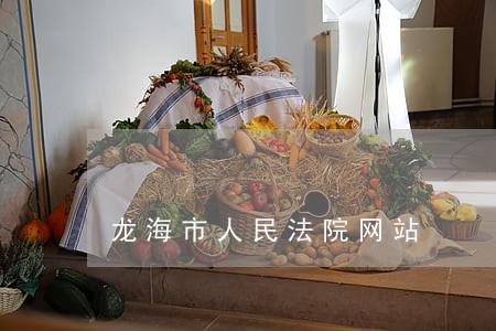 龙海市人民法院网站 龙海市人民法院网站