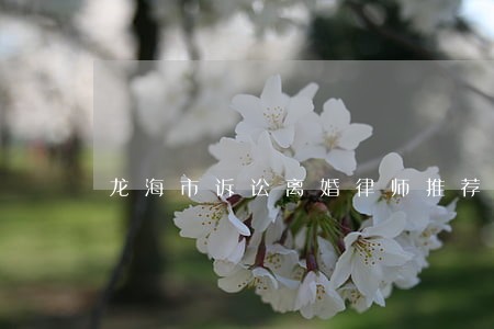 龙海市诉讼离婚律师推荐 龙海市诉讼离婚律师推荐