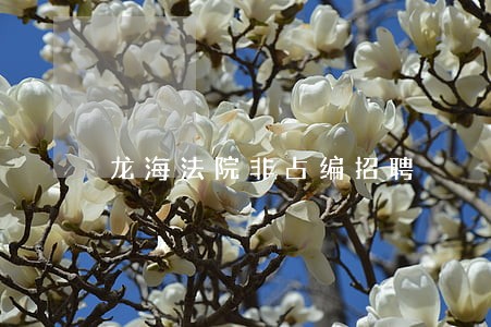 龙海法院非占编招聘 龙海法院非占编招聘