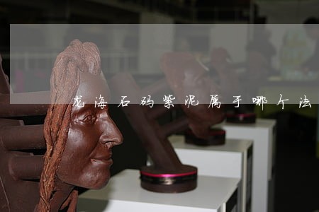 龙海石码紫泥属于哪个法院管辖 龙海石码紫泥属于哪个法院管辖
