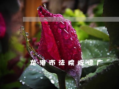 龙港市法院陈德广