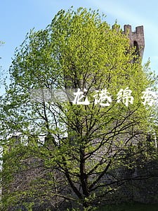 龙港绵秀名园拍卖 龙港绵秀名园拍卖