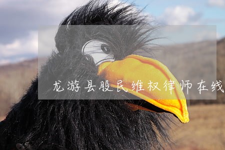 龙游县股民维权律师在线 龙游县股民维权律师在线