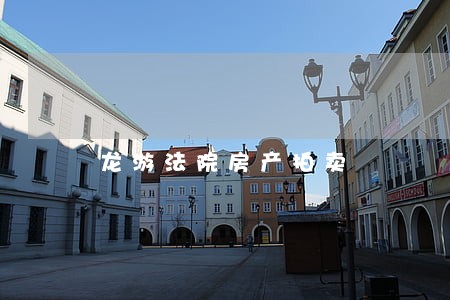 龙游法院房产拍卖
