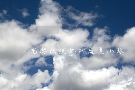 龙游法院执行庭姜小林 龙游法院执行庭姜小林