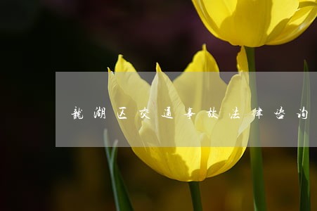 龙湖区交通事故法律咨询热线