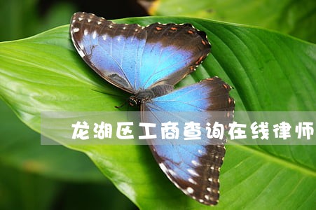 龙湖区工商查询在线律师咨询
