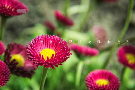 龙湖区法律援助服务大厅 龙湖区法律援助服务大厅