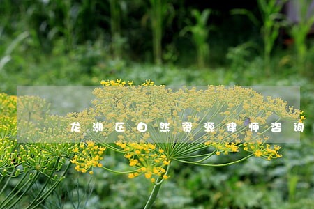 龙湖区自然资源律师咨询电话 龙湖区自然资源律师咨询电话