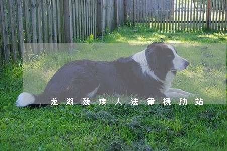 龙湖残疾人法律援助站 龙湖残疾人法律援助站