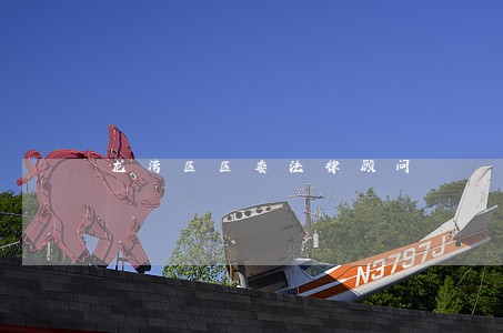 龙湾区区委法律顾问 龙湾区区委法律顾问