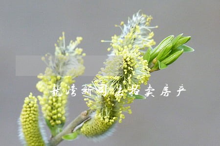 龙湾新司法拍卖房产