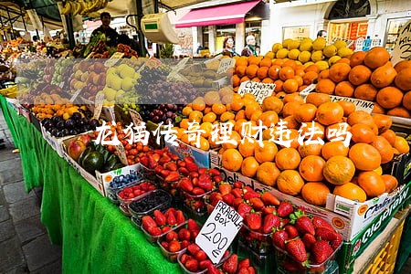 龙猫传奇理财违法吗