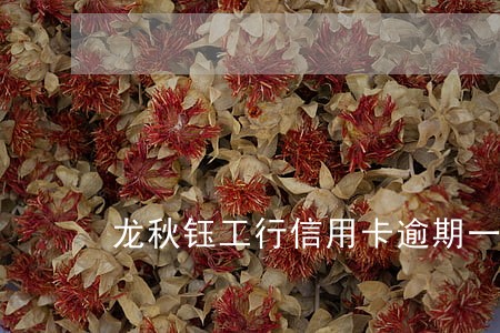 龙秋钰工行信用卡逾期一案 龙秋钰工行信用卡逾期一案