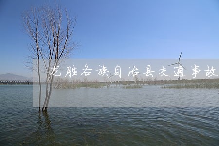 龙胜各族自治县交通事故在线律师 龙胜各族自治县交通事故在线律师