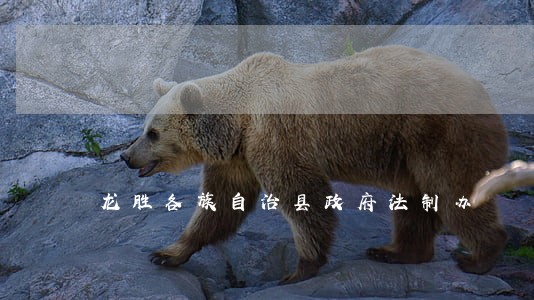 龙胜各族自治县政府法制办 龙胜各族自治县政府法制办