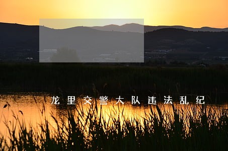 龙里交警大队违法乱纪