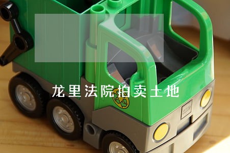 龙里法院拍卖土地 龙里法院拍卖土地