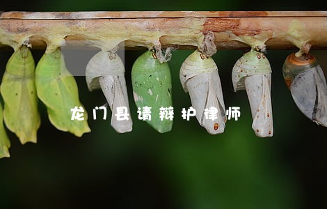 龙门县请辩护律师 龙门县请辩护律师