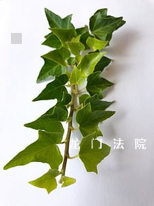 龙门法院为您提供云服务 龙门法院为您提供云服务