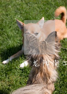 龙阳街工程造价纠纷律师 龙阳街工程造价纠纷律师