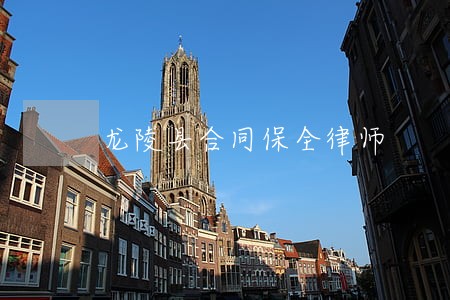 龙陵县合同保全律师 龙陵县合同保全律师