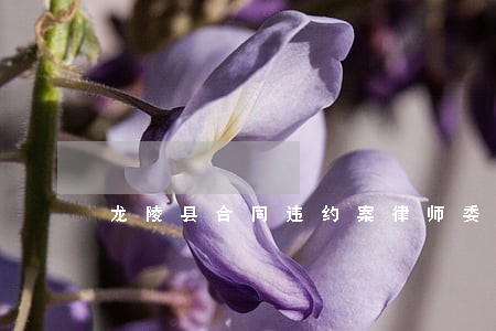 龙陵县合同违约案律师委托咨询 龙陵县合同违约案律师委托咨询