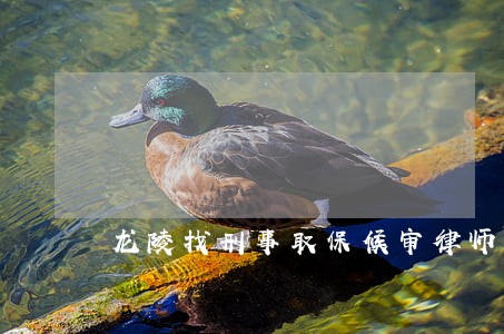 龙陵找刑事取保候审律师在线咨询 龙陵找刑事取保候审律师在线咨询