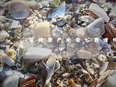 龙陵资产拍卖公告律师 龙陵资产拍卖公告律师
