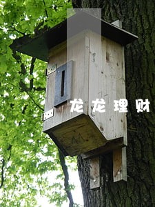 龙龙理财逾期