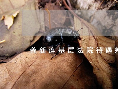 龚新连基层法院待遇差留人难 龚新连基层法院待遇差留人难