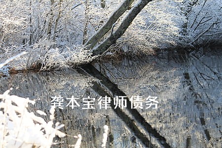 龚本宝律师债务 龚本宝律师债务