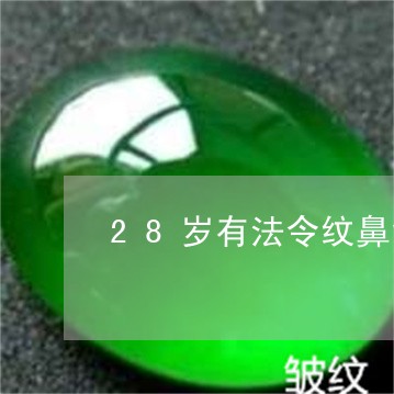 28岁有法令纹鼻背纹