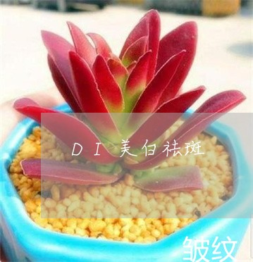 DI美白祛斑