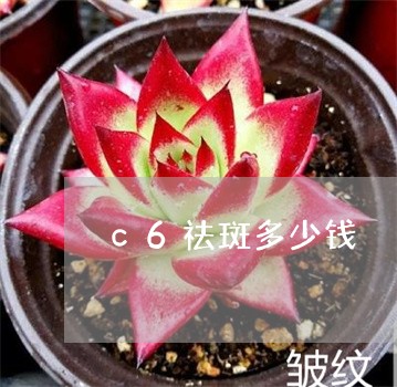 c6祛斑多少钱